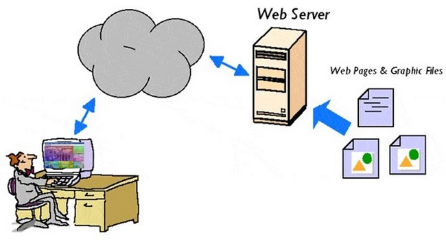 Server Adalah: Pengertian, Cara Kerja, Fungsi, Manfaat & Jenisnya