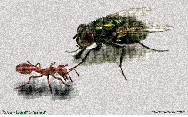 Kisah Lalat dan Semut, Cerita Inspiratif
