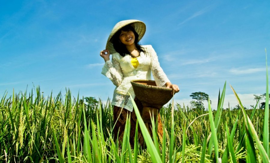 Aplikasi Petani  8villages Saatnya Petani  Indonesia 