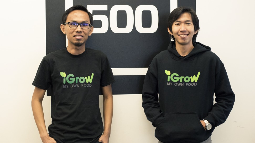 startup iGrow