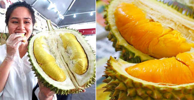 Bisnis Durian Musang King
