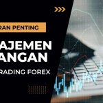 Manajemen Keuangan Dalam Trading Forex
